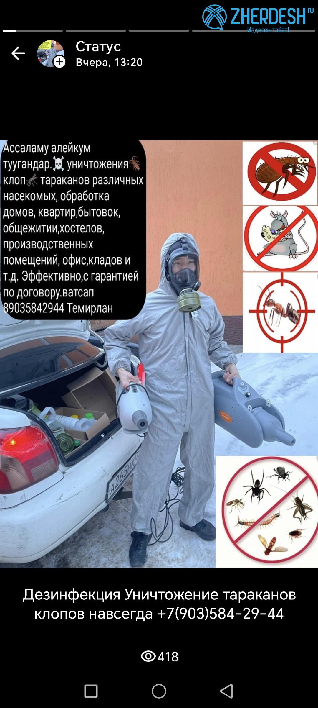 Уничтожение клопов, тараканов и дезинфекция