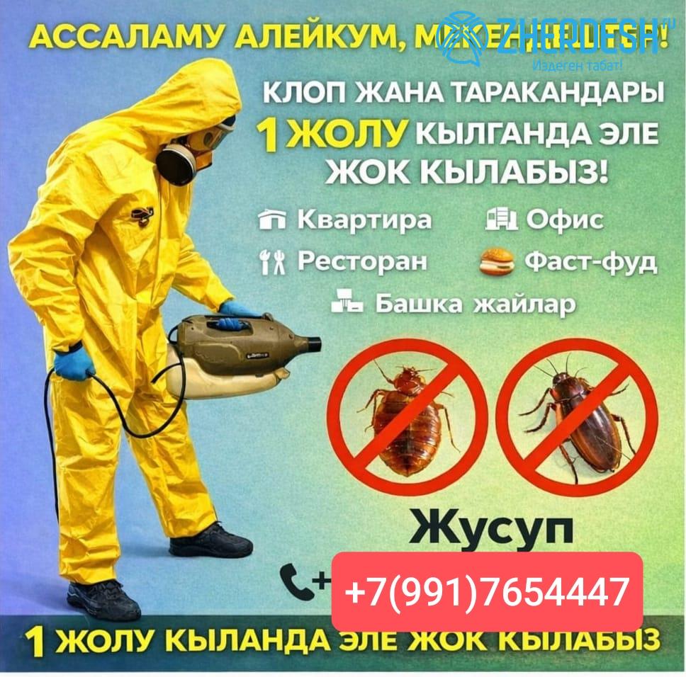 ДЕЗИНФЕКЦИЯ БАРДЫГЫ ОФИЦИАЛЬНЫЙ (7) АЙ ГАРАНТИЯ БАР.