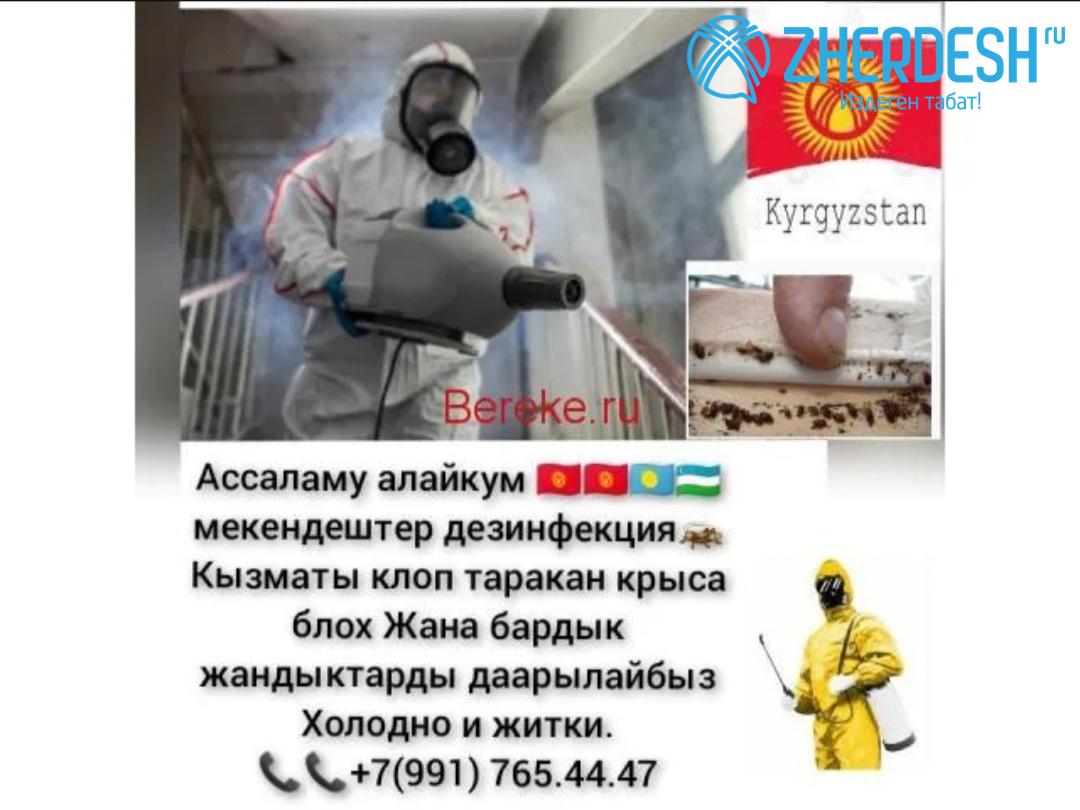 ДЕЗИНФЕКЦИЯ КЛОП ТАРАКАНДАРДЫ ТАЗАЛАЙБЫ