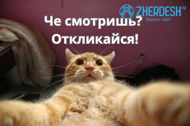 Срочно нужны курьеры, высокая оплата