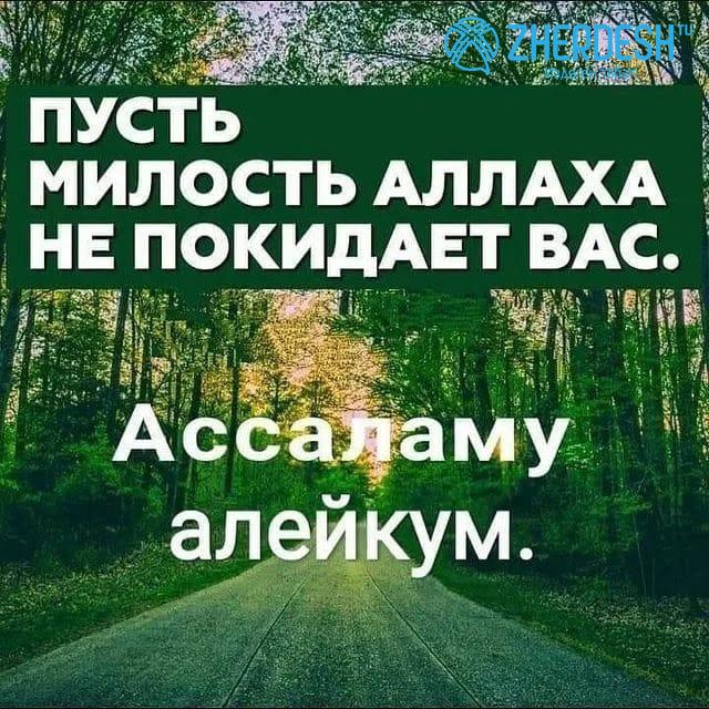 Сдам 2 спальных места для женщин