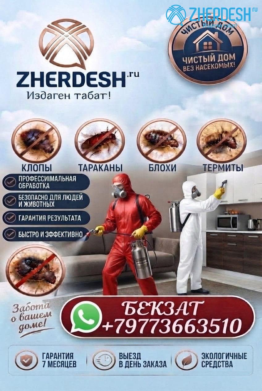 Дезинфекция