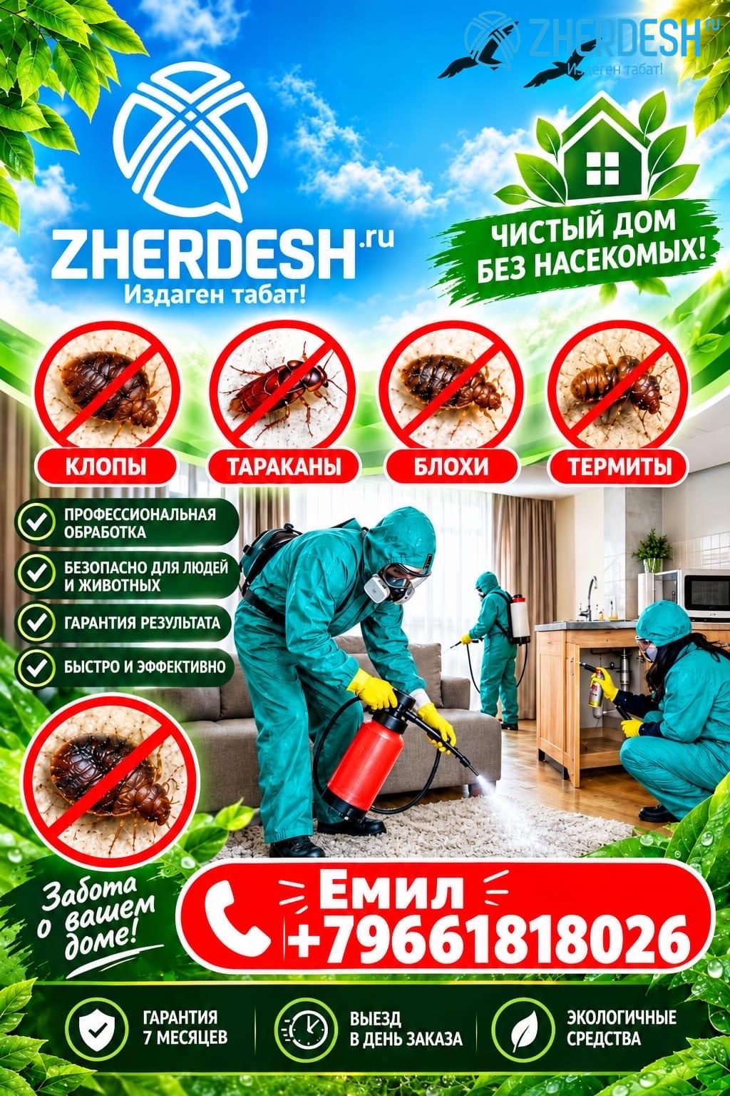 Клоп таракан дарылайбыз